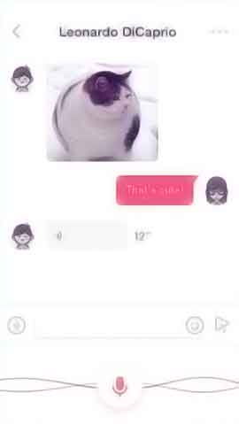 网站攻击防护软件程序维护界面